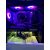   Prémium Gamer PC 999 | DDR5 | Intel ULTRA 7 265KF | RTX 5070 | 32GB | 2TB SSD
